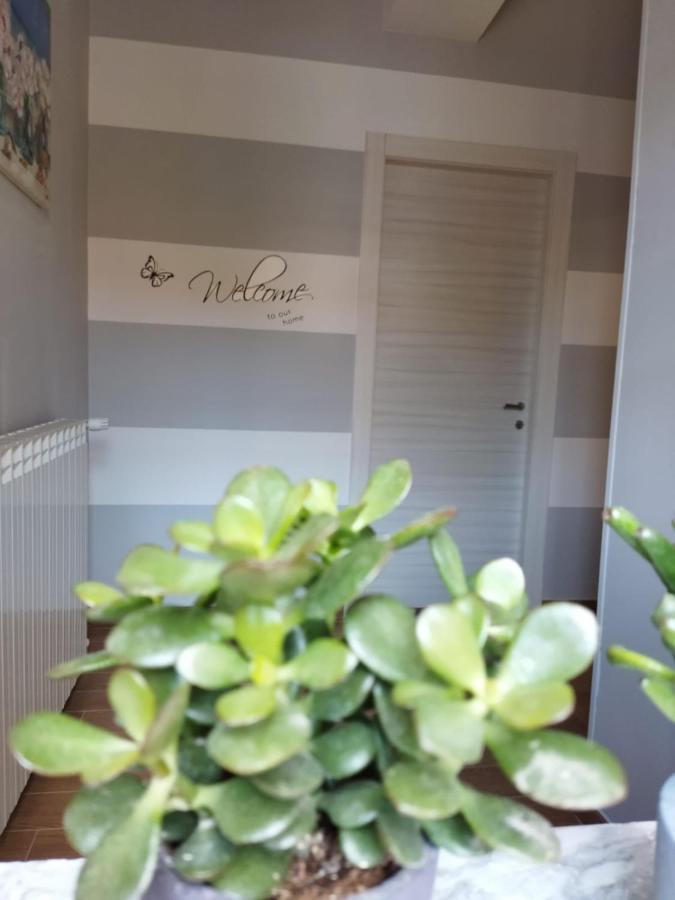 Casa Dema Apartment Ламеция Терме Екстериор снимка